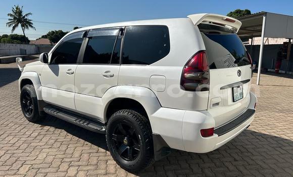Nunua Ilio tumika Toyota Land Cruiser Prado Nyeupe Gari ndani ya Maputo nchini Maputo Nunua Ilio tumika Toyota Land Cruiser Prado Nyeupe Gari ndani ya Maputo nchini Maputo