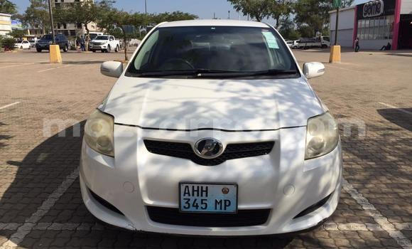 Buy Used Toyota Auris White Car in Maputo in Maputo