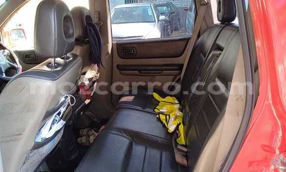 Buy Used Nissan X-Trail Red Car in Maputo in Maputo Buy Used Nissan X-Trail Red Car in Maputo in Maputo