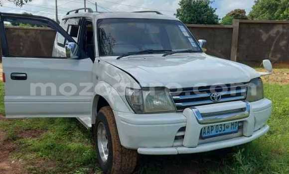Comprar Usado Toyota Land Cruiser Prado Branco Carro em Maputo em Maputo