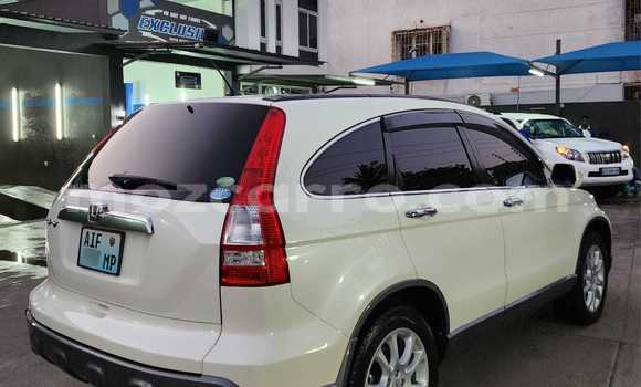 Buy Used Honda CR-V White Car in Maputo in Maputo Buy Used Honda CR-V White Car in Maputo in Maputo