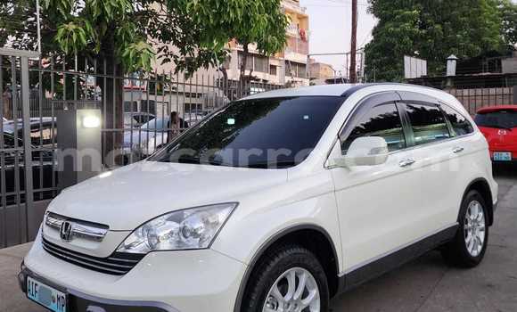 Buy Used Honda CR-V White Car in Maputo in Maputo Buy Used Honda CR-V White Car in Maputo in Maputo