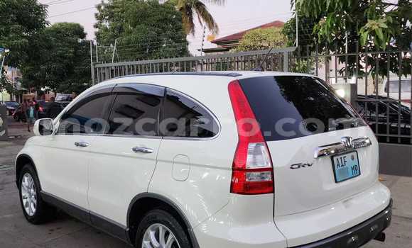 Buy Used Honda CR-V White Car in Maputo in Maputo Buy Used Honda CR-V White Car in Maputo in Maputo