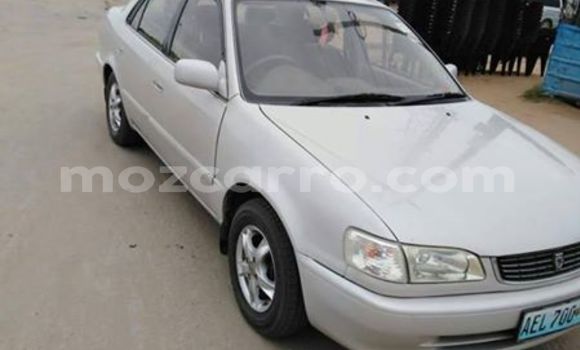 Buy Used Toyota Corolla White Car in Maputo in Maputo Buy Used Toyota Corolla White Car in Maputo in Maputo