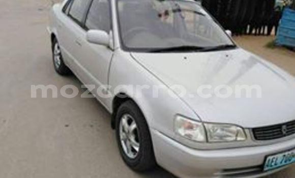 Buy Used Toyota Corolla White Car in Maputo in Maputo Buy Used Toyota Corolla White Car in Maputo in Maputo