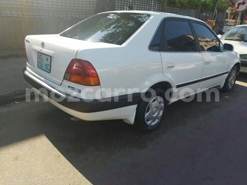 Big with watermark 57457086 1358200980986857 4489349497113018368 o