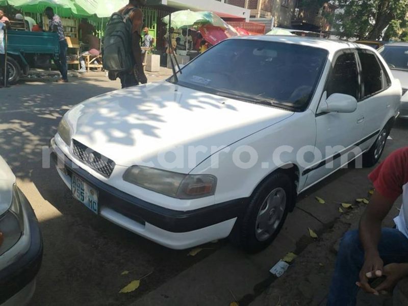 Big with watermark 58443633 1358200900986865 3841022362715684864 o