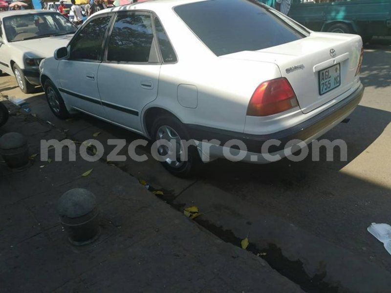 Big with watermark 57467878 1358200857653536 8288689601652981760 o