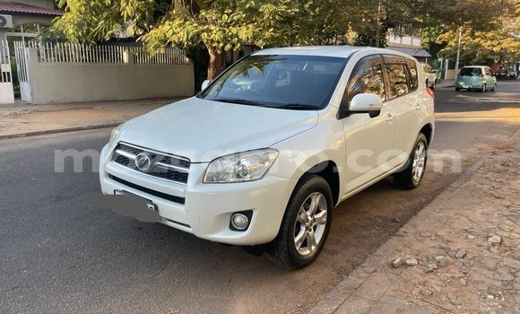 Tenga Tsaru Toyota RAV4 Chena Mota in Maputo in Maputo Tenga Tsaru Toyota RAV4 Chena Mota in Maputo in Maputo