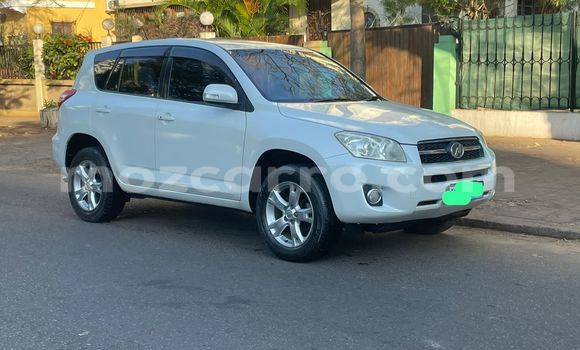 Tenga Tsaru Toyota RAV4 Chena Mota in Maputo in Maputo Tenga Tsaru Toyota RAV4 Chena Mota in Maputo in Maputo