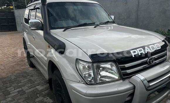 Tenga Tsaru Toyota Land Cruiser Prado Zvimwe Mota in Maputo in Maputo Tenga Tsaru Toyota Land Cruiser Prado Zvimwe Mota in Maputo in Maputo