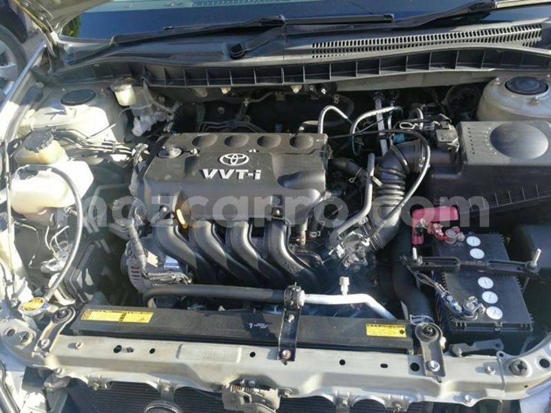 Big with watermark 54463117 1330806827059606 4931752676451942400 o