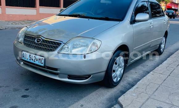 Tenga Tsaru Toyota Corolla Sirivha Mota in Maputo in Maputo Tenga Tsaru Toyota Corolla Sirivha Mota in Maputo in Maputo
