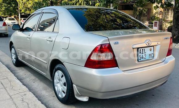 Tenga Tsaru Toyota Corolla Sirivha Mota in Maputo in Maputo Tenga Tsaru Toyota Corolla Sirivha Mota in Maputo in Maputo
