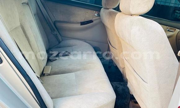 Tenga Tsaru Toyota Corolla Sirivha Mota in Maputo in Maputo Tenga Tsaru Toyota Corolla Sirivha Mota in Maputo in Maputo