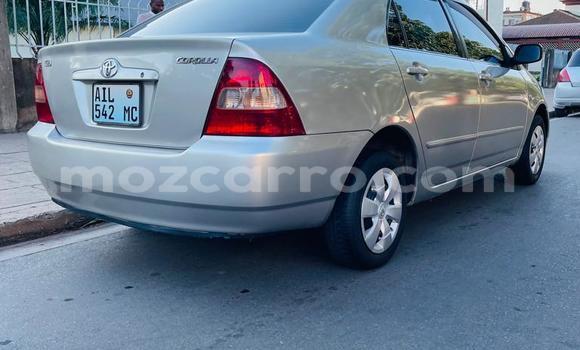 Tenga Tsaru Toyota Corolla Sirivha Mota in Maputo in Maputo Tenga Tsaru Toyota Corolla Sirivha Mota in Maputo in Maputo