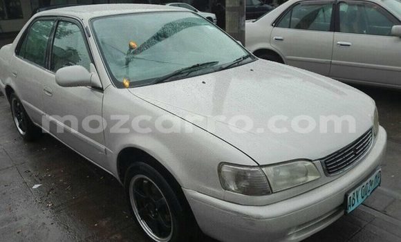 Buy Used Toyota Corolla White Car in Maputo in Maputo Buy Used Toyota Corolla White Car in Maputo in Maputo