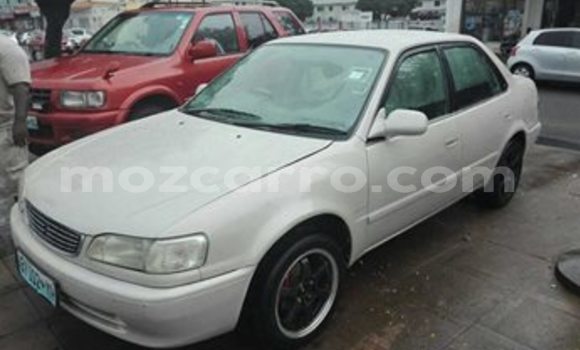 Buy Used Toyota Corolla White Car in Maputo in Maputo Buy Used Toyota Corolla White Car in Maputo in Maputo
