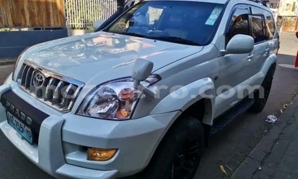 Nunua Ilio tumika Toyota Land Cruiser Prado Nyeupe Gari ndani ya Maputo nchini Maputo Nunua Ilio tumika Toyota Land Cruiser Prado Nyeupe Gari ndani ya Maputo nchini Maputo
