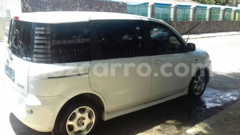 Big with watermark 51887617 1311985275608428 4599219635332579328 o