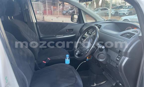 Tenga Tsaru Toyota Ractis Chena Mota in Maputo in Maputo Tenga Tsaru Toyota Ractis Chena Mota in Maputo in Maputo