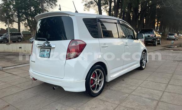 Tenga Tsaru Toyota Ractis Chena Mota in Maputo in Maputo Tenga Tsaru Toyota Ractis Chena Mota in Maputo in Maputo