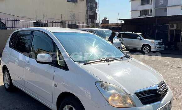 Tenga Tsaru Toyota Spacio Chena Mota in Maputo in Maputo Tenga Tsaru Toyota Spacio Chena Mota in Maputo in Maputo