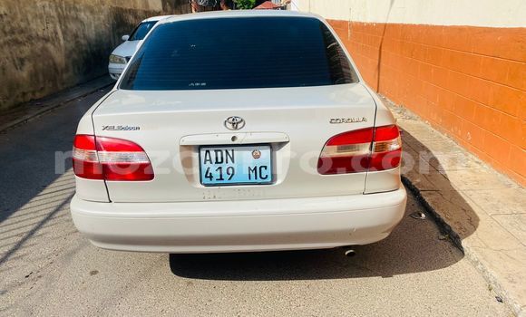 Comprar Usado Toyota Corolla Prata Carro em Maputo em Maputo Comprar Usado Toyota Corolla Prata Carro em Maputo em Maputo