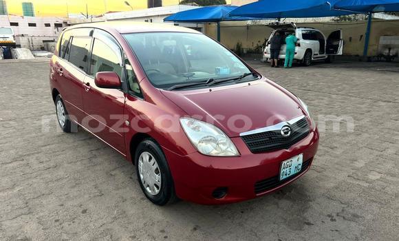 Nunua Ilio tumika Toyota Spacio Nyekundu Gari ndani ya Maputo nchini Maputo Nunua Ilio tumika Toyota Spacio Nyekundu Gari ndani ya Maputo nchini Maputo