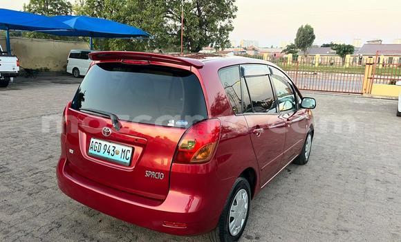 Nunua Ilio tumika Toyota Spacio Nyekundu Gari ndani ya Maputo nchini Maputo Nunua Ilio tumika Toyota Spacio Nyekundu Gari ndani ya Maputo nchini Maputo