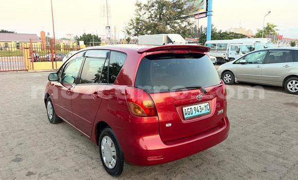 Nunua Ilio tumika Toyota Spacio Nyekundu Gari ndani ya Maputo nchini Maputo Nunua Ilio tumika Toyota Spacio Nyekundu Gari ndani ya Maputo nchini Maputo