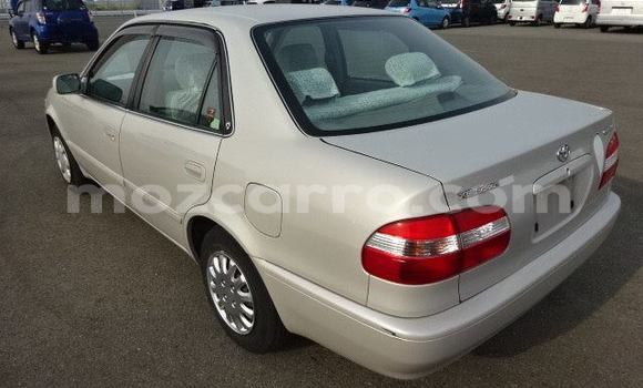 Nunua Ilio tumika Toyota Corolla Fedha Gari ndani ya Maputo nchini Maputo Nunua Ilio tumika Toyota Corolla Fedha Gari ndani ya Maputo nchini Maputo
