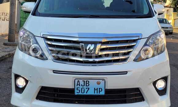 Comprar Usado Toyota Alphard Branco Carro em Maputo em Maputo Comprar Usado Toyota Alphard Branco Carro em Maputo em Maputo