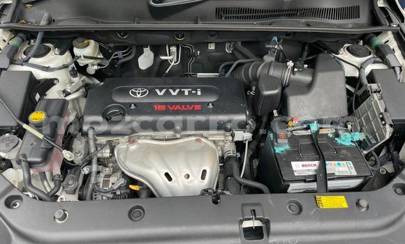 Buy Used Toyota Vanguard White Car in Maputo in Maputo Buy Used Toyota Vanguard White Car in Maputo in Maputo