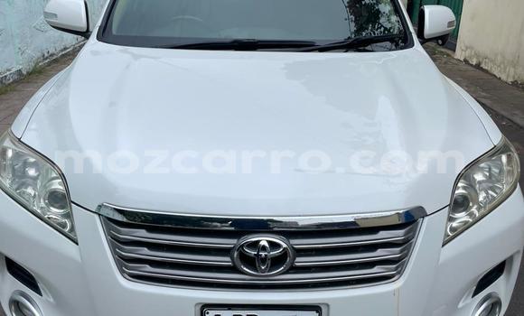 Buy Used Toyota Vanguard White Car in Maputo in Maputo Buy Used Toyota Vanguard White Car in Maputo in Maputo