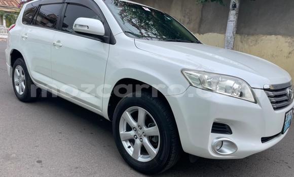 Buy Used Toyota Vanguard White Car in Maputo in Maputo Buy Used Toyota Vanguard White Car in Maputo in Maputo