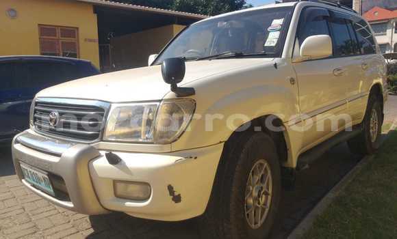 Tenga Tsaru Toyota Land Cruiser Prado Chena Mota in Maputo in Maputo Tenga Tsaru Toyota Land Cruiser Prado Chena Mota in Maputo in Maputo