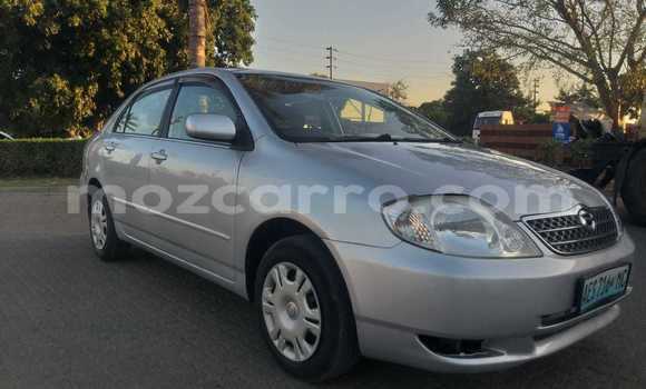 Buy Used Toyota Corolla Silver Car in Maputo in Maputo Buy Used Toyota Corolla Silver Car in Maputo in Maputo