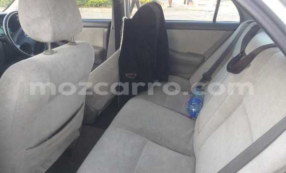 Buy Used Toyota Corolla Silver Car in Maputo in Maputo Buy Used Toyota Corolla Silver Car in Maputo in Maputo