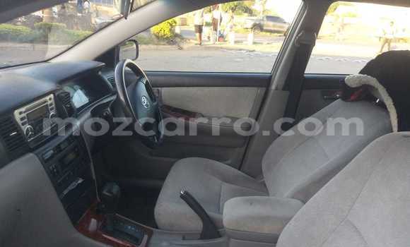 Buy Used Toyota Corolla Silver Car in Maputo in Maputo Buy Used Toyota Corolla Silver Car in Maputo in Maputo