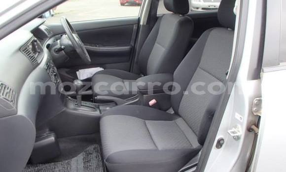 Nunua Ilio tumika Toyota Runx Fedha Gari ndani ya Maputo nchini Maputo Nunua Ilio tumika Toyota Runx Fedha Gari ndani ya Maputo nchini Maputo