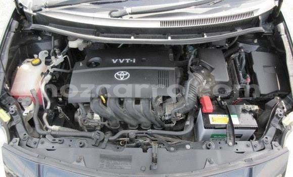 Tenga Tsaru Toyota Auris Nhema Mota in Maputo in Maputo Tenga Tsaru Toyota Auris Nhema Mota in Maputo in Maputo