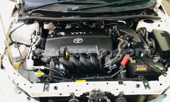 Tenga Tsaru Toyota Axio Chena Mota in Maputo in Maputo Tenga Tsaru Toyota Axio Chena Mota in Maputo in Maputo