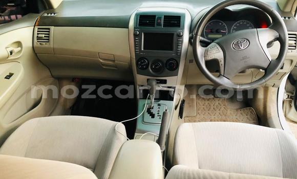 Tenga Tsaru Toyota Axio Chena Mota in Maputo in Maputo Tenga Tsaru Toyota Axio Chena Mota in Maputo in Maputo