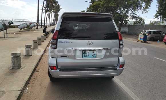 Tenga Tsaru Toyota Land Cruiser Sirivha Mota in Maputo in Maputo Tenga Tsaru Toyota Land Cruiser Sirivha Mota in Maputo in Maputo