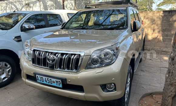 Nunua Ilio tumika Toyota Land Cruiser Prado Brown Gari ndani ya Maputo nchini Maputo