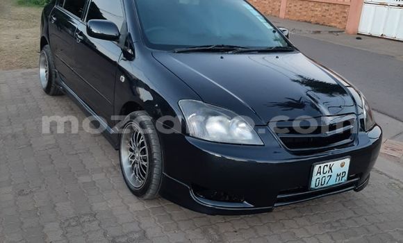 Tenga Tsaru Toyota Runx Nhema Mota in Maputo in Maputo Tenga Tsaru Toyota Runx Nhema Mota in Maputo in Maputo