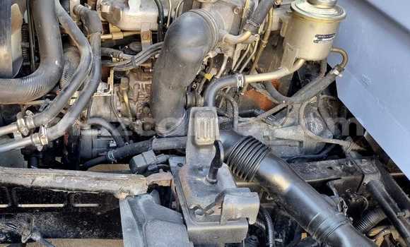 Tenga Tsaru Hino Ranger Bhuruu Rori in Maputo in Maputo Tenga Tsaru Hino Ranger Bhuruu Rori in Maputo in Maputo