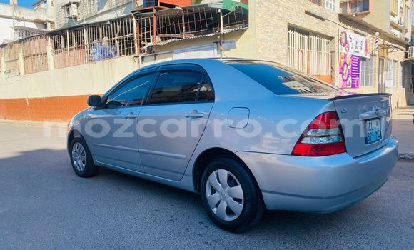 Comprar Usado Toyota Corolla Prata Carro em Maputo em Maputo Comprar Usado Toyota Corolla Prata Carro em Maputo em Maputo