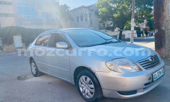Comprar Usado Toyota Corolla Prata Carro em Maputo em Maputo Comprar Usado Toyota Corolla Prata Carro em Maputo em Maputo